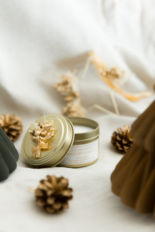 Etoile et bougie cannelle