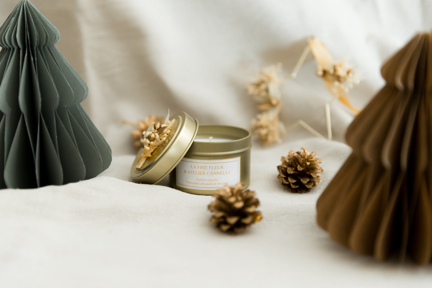 Etoile et bougie cannelle